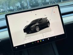 Tesla Model Y Rear-Wheel Drive - ფოტო 4