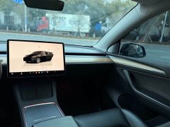 Tesla Model Y Rear-Wheel Drive - ფოტო 6