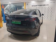 Tesla Model Y Rear-Wheel Drive - ფოტო 10