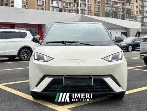 2025 BYD Seagull 305km Freedom Edition - ავტომობილი ჩინეთიდან