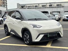 BYD Seagull 305km Freedom Edition - ფოტო 2