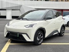 BYD Seagull 305km Freedom Edition - ფოტო 4