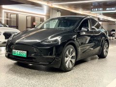 Tesla Model Y Standard Range RWD - ფოტო 1