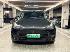 Tesla Model Y Standard Range RWD - ფოტო 2