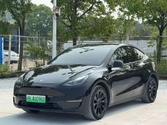 Tesla Model Y Standard Range RWD - ფოტო 1