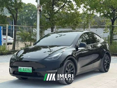 2021 Tesla Model Y Standard Range RWD - ავტომობილი ჩინეთიდან