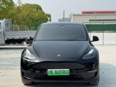 Tesla Model Y Standard Range RWD - ფოტო 2