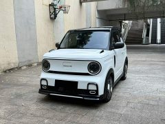 Geely Panda 200km Panda Kart - ფოტო 1
