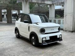 Geely Panda 200km Panda Kart - ფოტო 3