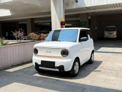 Geely Panda Mini 200km Endurance Edition - ფოტო 1