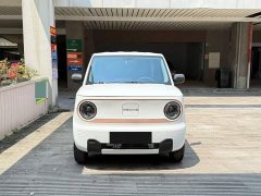 Geely Panda Mini 200km Endurance Edition - ფოტო 2