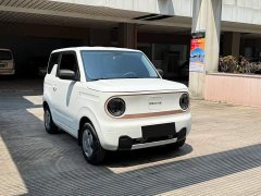 Geely Panda Mini 200km Endurance Edition - ფოტო 3