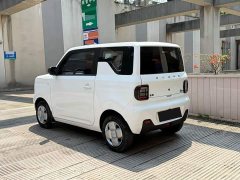 Geely Panda Mini 200km Endurance Edition - ფოტო 5