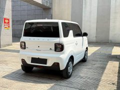 Geely Panda Mini 200km Endurance Edition - ფოტო 8