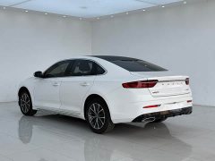 Geely Xingrui 2.0T Diesel Luxury - ფოტო 10