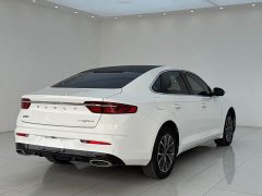 Geely Xingrui 2.0T Diesel Luxury - ფოტო 8