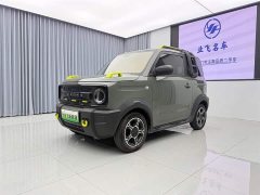 Geely Panda 200km Panda Knight - ფოტო 1
