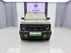 Geely Panda 200km Panda Knight - ფოტო 2