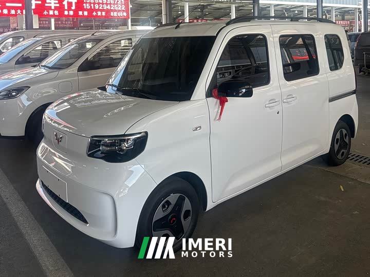 Wuling Zhiguang New Energy 305km Aspiring Edition