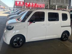 Wuling Zhiguang New Energy 305km Aspiring Edition - ფოტო 3