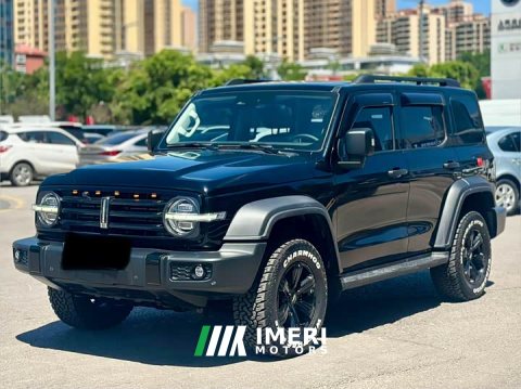 2021 Tank 300 Off-Road Edition 2.0T Challenger - ავტომობილი ჩინეთიდან