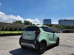 Chery Ant Sweet Pink Half-Sugar Phosphate Iron Lithium 30kW 301km - ფოტო 5