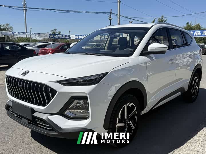 Sihao X8 300T Luxury Edition 5 - ავტომობილი ჩინეთიდან