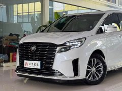 Buick GL8 ES Luxe Enjoyment Edition - ფოტო 13