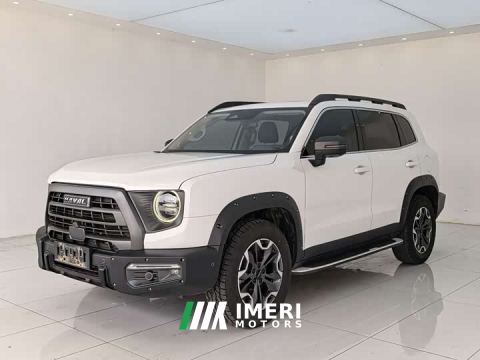 2022 Haval Dargo Dachshund 2.0T DCT Four-Wheel Drive Howling Celestial Dog Edition