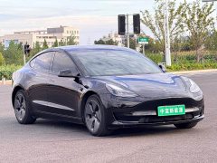 Tesla Model 3 Rear-Wheel Drive - ფოტო 3