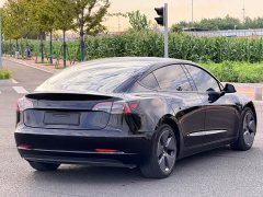 Tesla Model 3 Rear-Wheel Drive - ფოტო 7