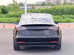 Tesla Model 3 Rear-Wheel Drive - ფოტო 8