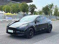 Tesla Model Y Standard Range RWD - ფოტო 1
