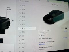 Tesla Model Y Standard Range RWD - ფოტო 10