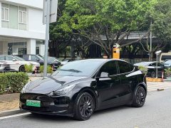 Tesla Model Y Facelift Long Range All-Wheel Drive - ფოტო 1