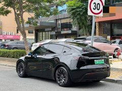 Tesla Model Y Facelift Long Range All-Wheel Drive - ფოტო 13