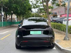 Tesla Model Y Facelift Long Range All-Wheel Drive - ფოტო 14