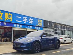 Tesla Model Y 2022 Facelift Long Range All-Wheel Drive - ფოტო 1