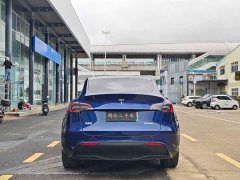 Tesla Model Y 2022 Facelift Long Range All-Wheel Drive - ფოტო 8