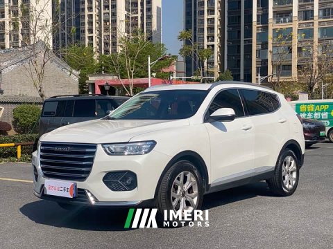 2021 Haval H6 1.5T Automatic Champion Edition - ავტომობილი ჩინეთიდან