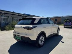 Geely Xing Yuan 310km Youth Edition - ფოტო 11
