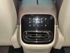 Leapmotor C11 Extended Range 285 Smart Enjoyment Edition - ფოტო 19