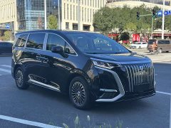 Denza BYD Denza D9 2024 EV 620 Premium Edition - ფოტო 3