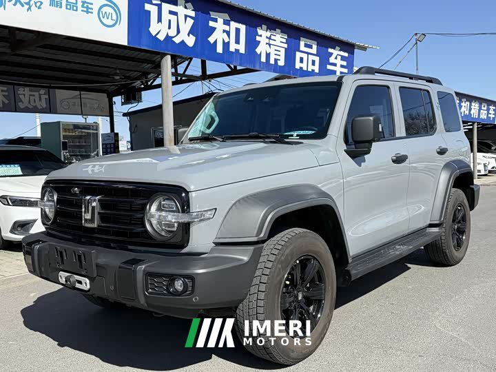 Tank 300 Off-Road Edition 2.0T Conqueror - ავტომობილი ჩინეთიდან