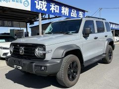 Tank 300 Off-Road Edition 2.0T Conqueror - ფოტო 1