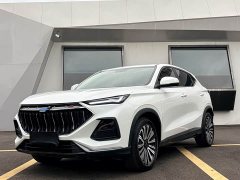Changan Oushan X5 1.5T DCT Luxury - ფოტო 1