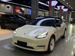 Tesla Model Y Rear-Wheel Drive - ფოტო 1