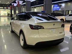 Tesla Model Y Rear-Wheel Drive - ფოტო 10