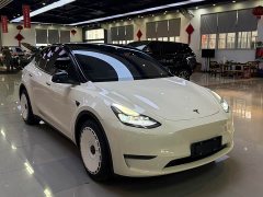 Tesla Model Y Rear-Wheel Drive - ფოტო 11
