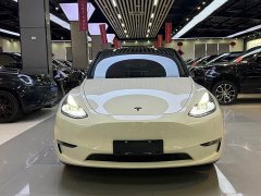 Tesla Model Y Rear-Wheel Drive - ფოტო 2